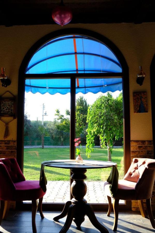 Seyyah Cafe Bungalows Aliaga Luaran gambar